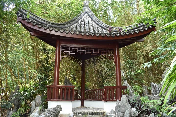 千年的传承-蝶恋