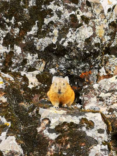 阿尔山火车站必须要来看百闻如见来打卡人啊1937年日本关东军建现在