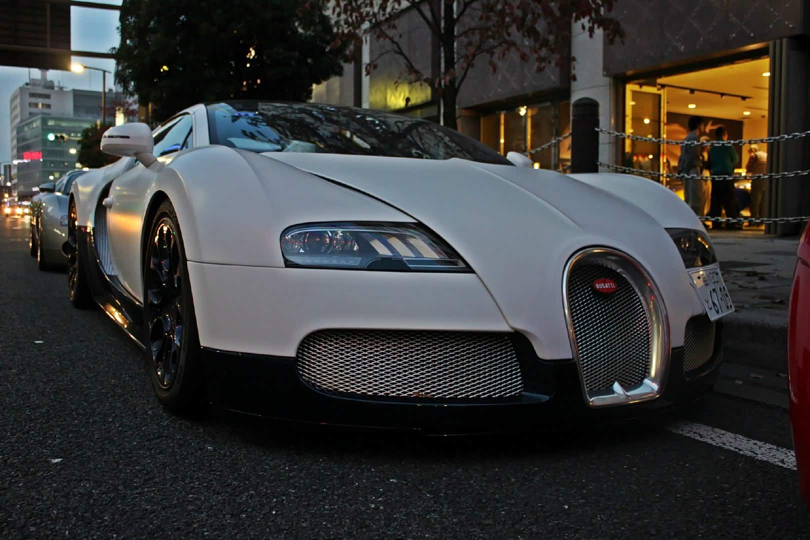 白色大肥龙一枚!帅气可爱._布加迪论坛_手机汽车之家