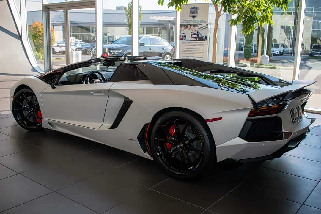 摆在奥迪店里面的大牛话说为啥