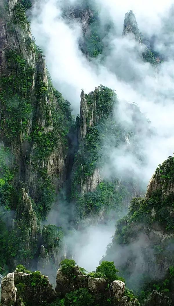 黃山的雲海之美,沒有語言能夠形容.能不能看到,也要靠點運氣.