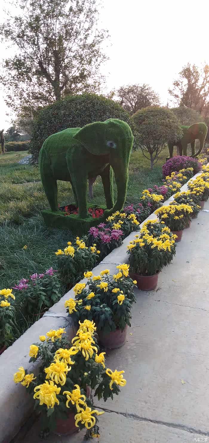 大象大象腿柱子腿