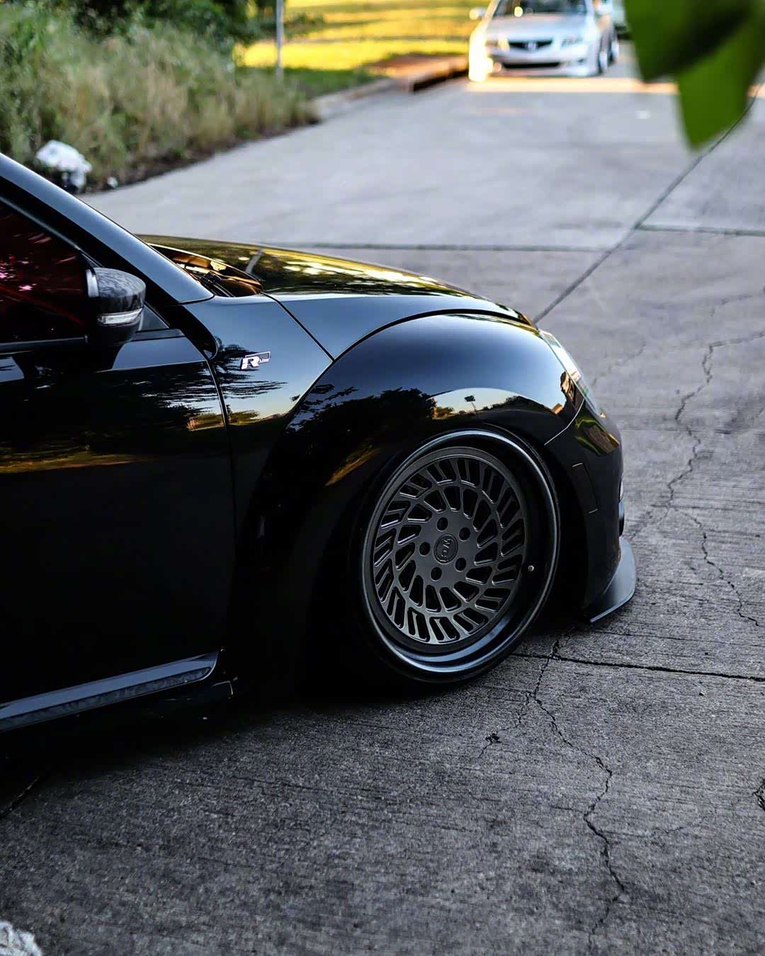 一枚漂亮的黑色甲壳虫