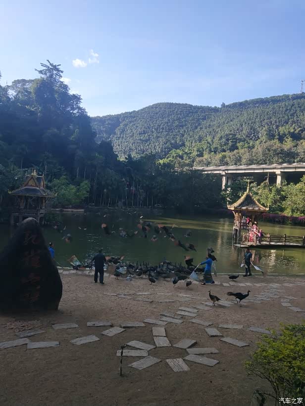 自驾游之七彩云南孔雀之乡