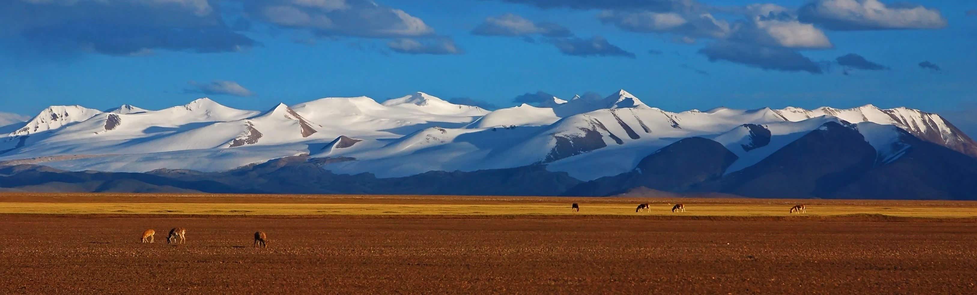 阿里,地球上海拔最高的地区,世界屋脊的屋脊,高原的高原
