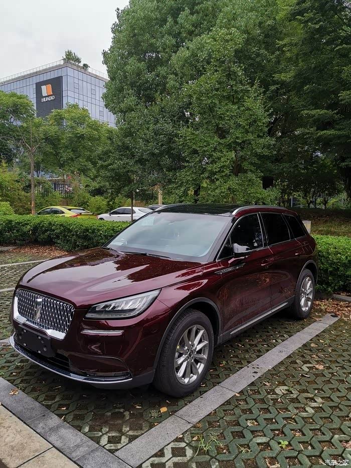 有人提勃艮第红吗发个实拍照片呗