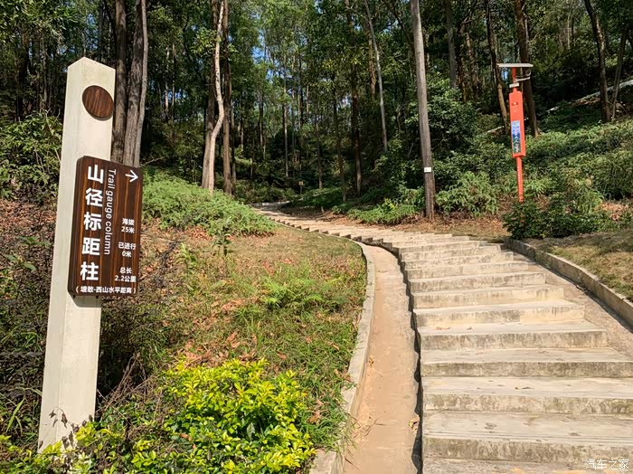 中山的尖角岭森林公园