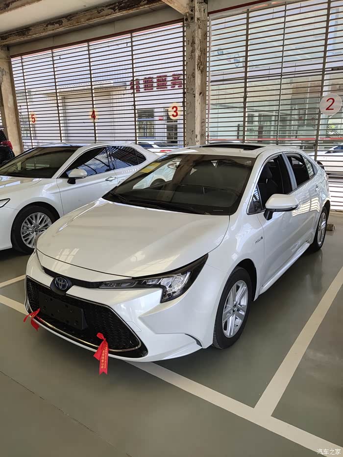 2021款豪华双擎雷凌珍珠白喜提佳车