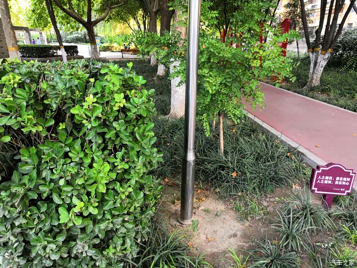 【雪域英雄战队】薇波公园游园16