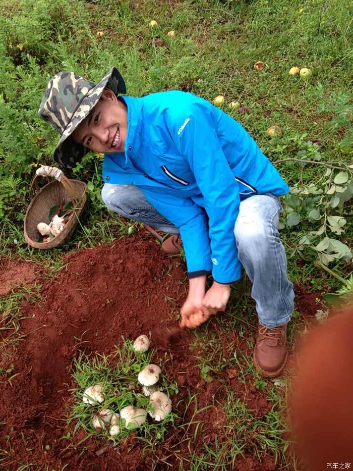 昂科威趣游开着小马上山采蘑菇