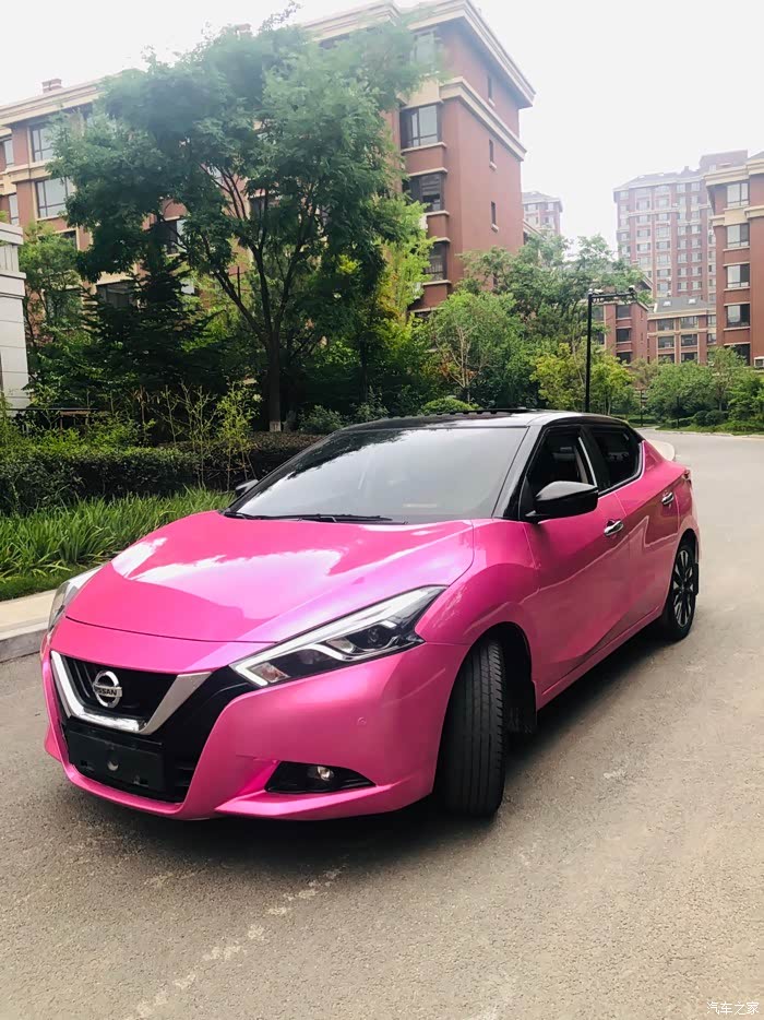 骚粉蓝鸟diy贴改色膜自己动手丰衣足食