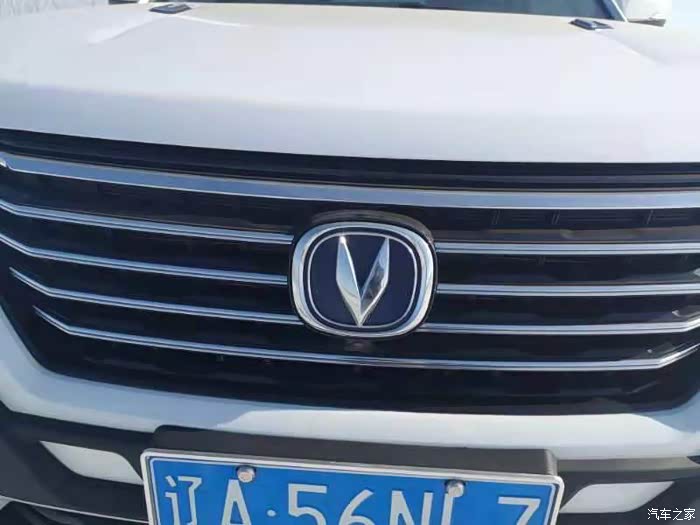 蓝底银色镀铬的车标看上去更加精致气,搭配梯形的进气格删整体感觉