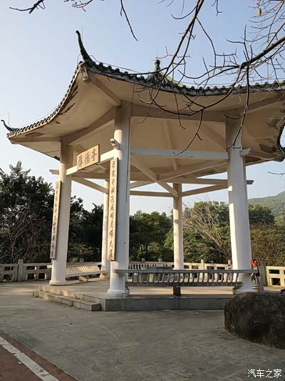 回归原始森林--大岭山森林公园半日游