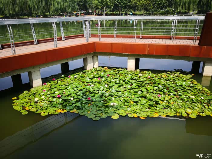 河北长安cs联盟抓住夏天的尾巴秋初出游东环生态园