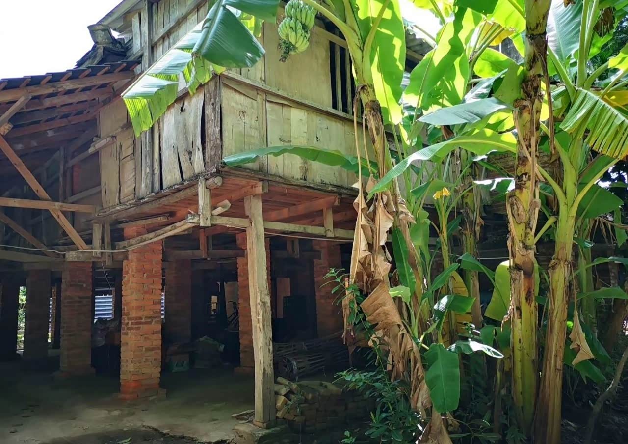 曼贺纳村旅行打卡地一个人的旅行哪里风景好就在那里停