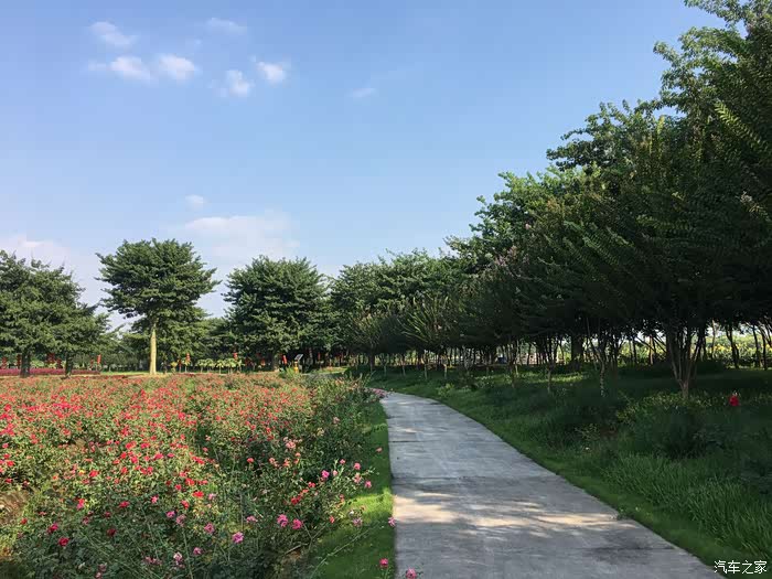 蓝标哈弗h2带我们去看广州百花园欣赏美丽的花朵