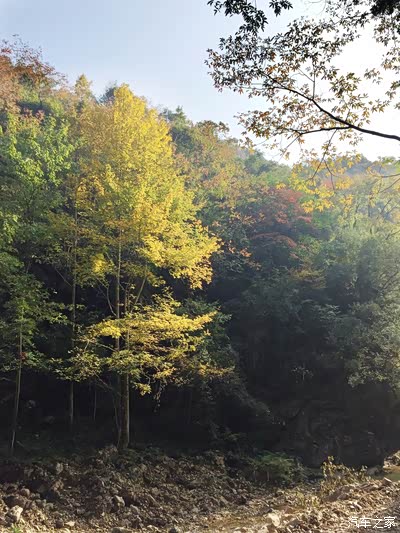 属亚热带季风温润气候,四季分明---五权镇随拍.