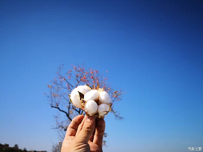 青春献给小酒桌-不青春献给大自然