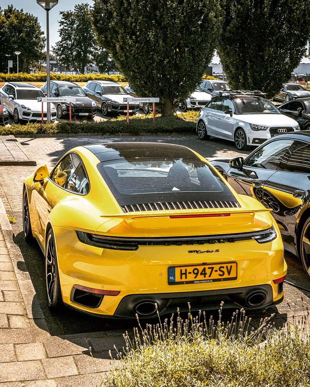 【图】porsche 911 turbo s,金色阳光!_保时捷911论坛_汽车之家论坛