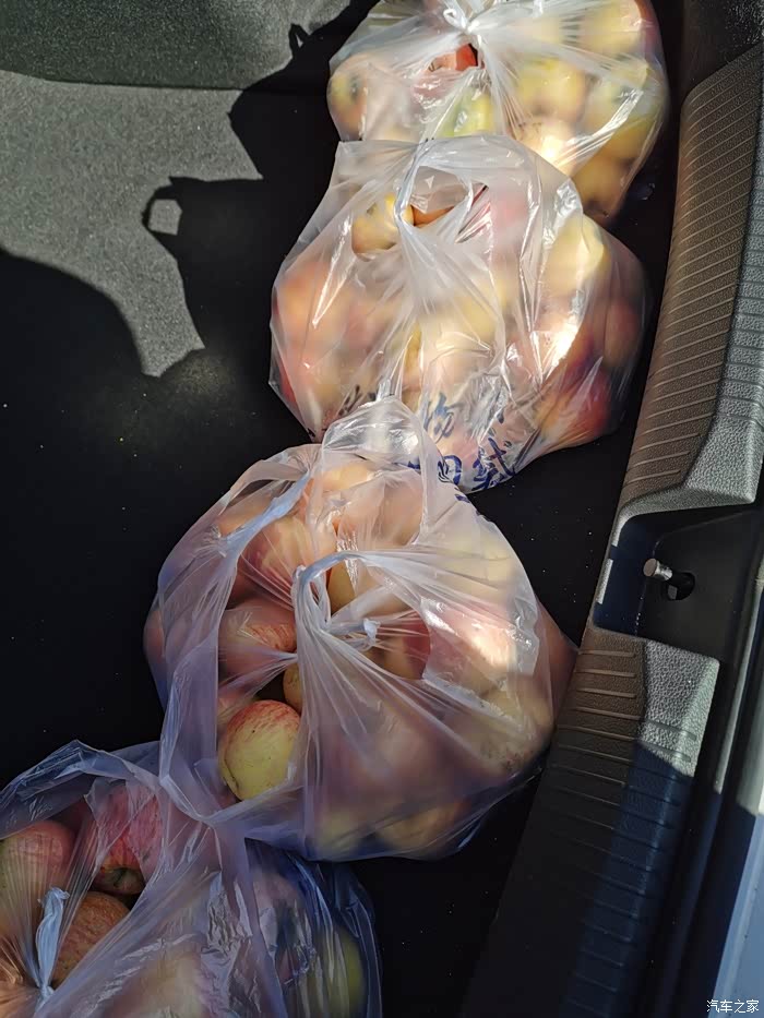 今天和朋友去山里果园买苹果,顺便试驾一下他新买的纯电朗逸.