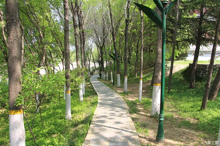 【图】潍坊虞河公园美景_山东论坛_汽车之家论坛