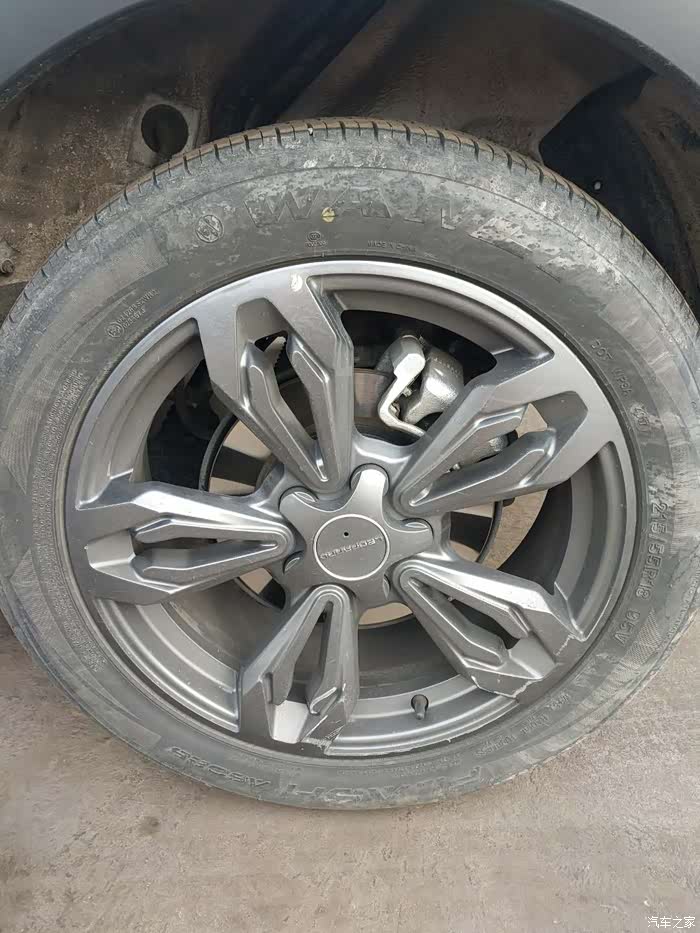 【图】可爱的小豹子cs9_猎豹cs10论坛_汽车之家论坛