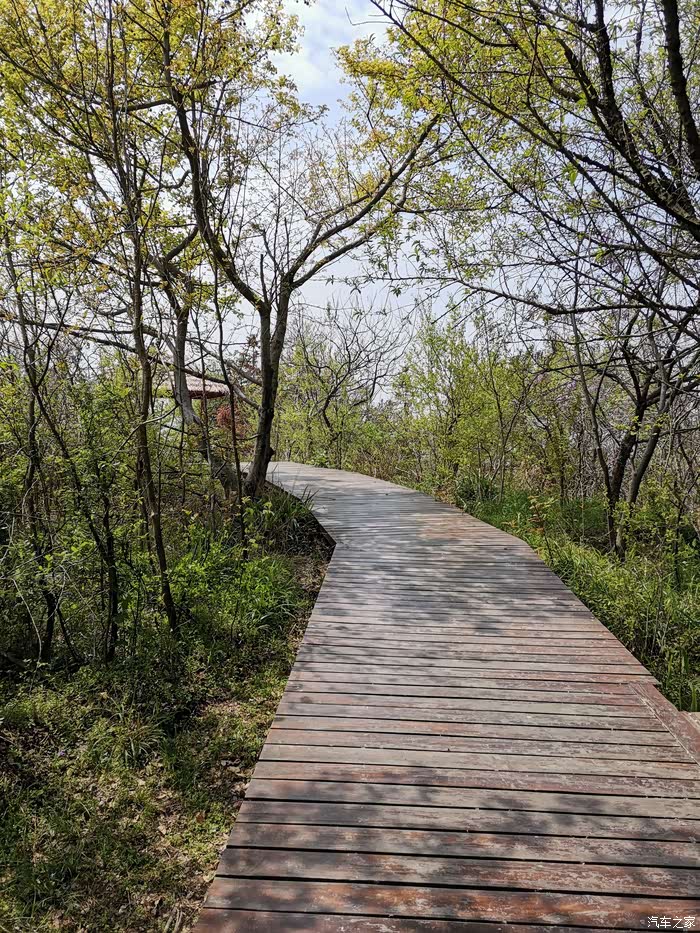 庐江黄山寨,美丽阳家墩!