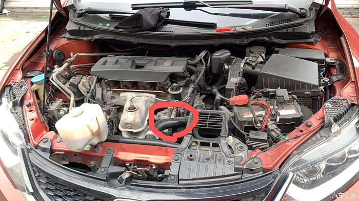 副水箱冷却液增多.图中圈出来的水管!明显发胀!