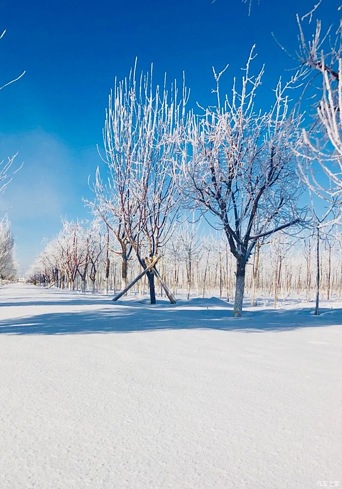 新疆昌吉雪景图片图片