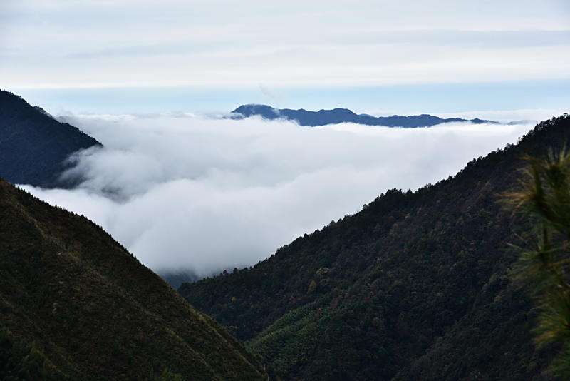 霧在山中,山在霧中,若隱若現,景色宜人