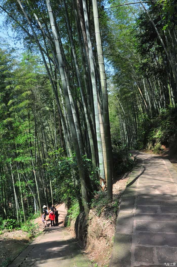 四川游记之宜宾蜀南竹海