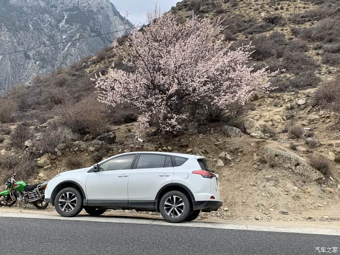 【图】20款车主开18款rav自驾拉萨林芝(1)_rav4荣放论坛_汽车之家论坛