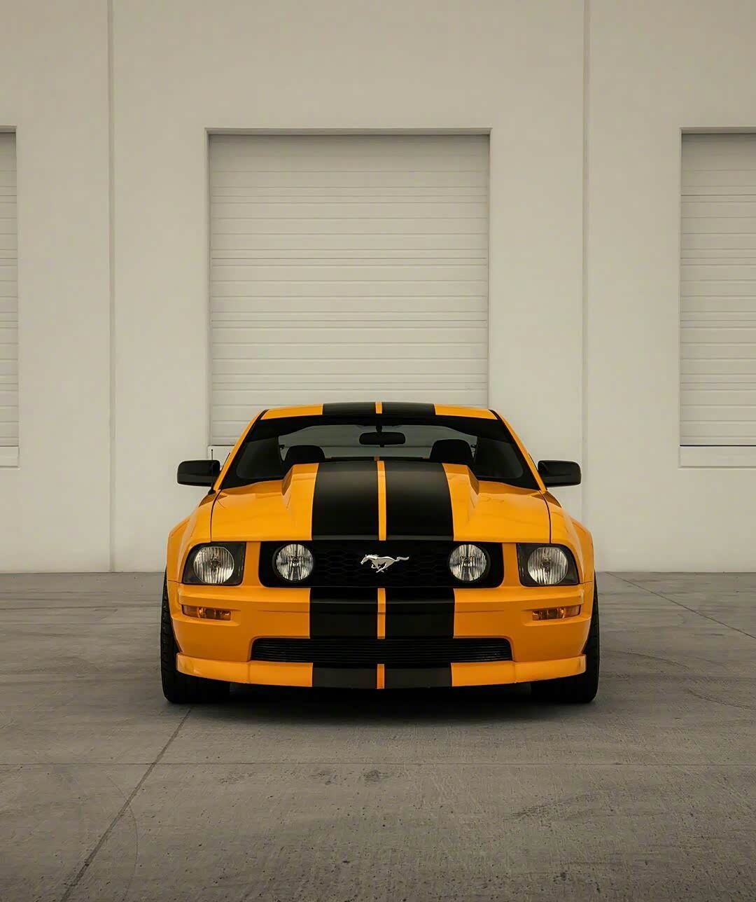 一匹倔强的野马mustang gt.