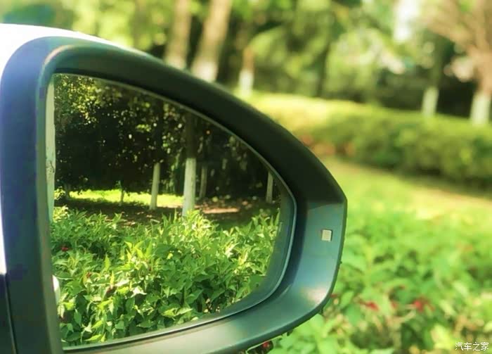 后视镜里的景色,一片绿油