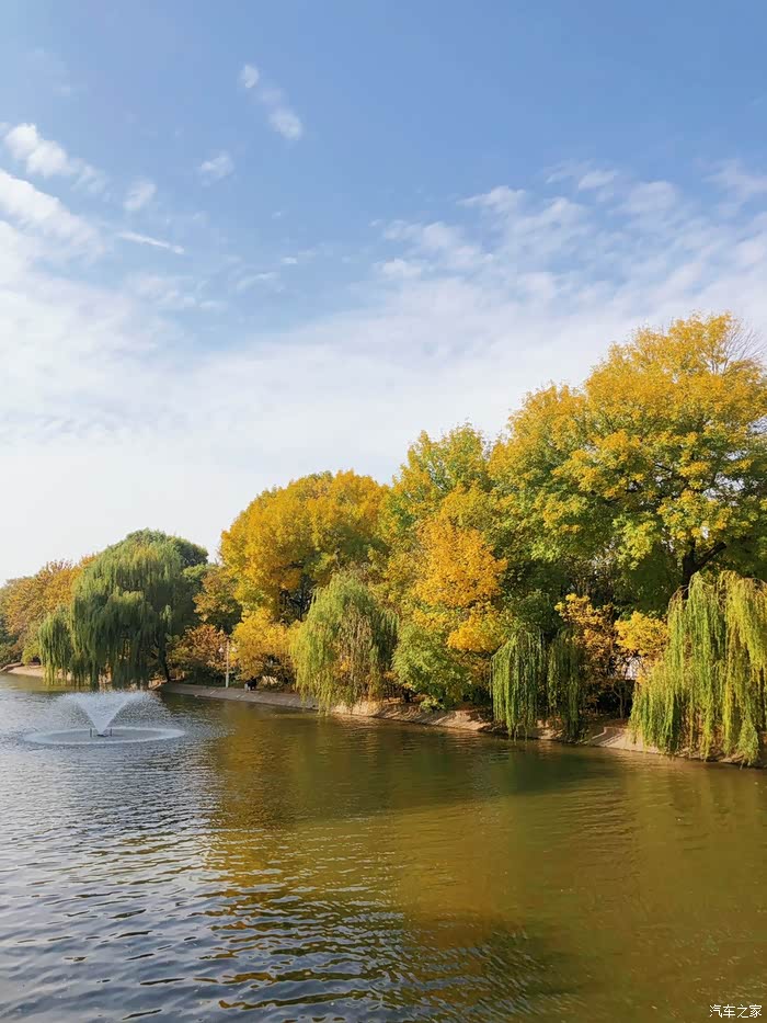【图】手机里随手拍的南运河秋天,留住短暂美好_摄影论坛_汽车之家