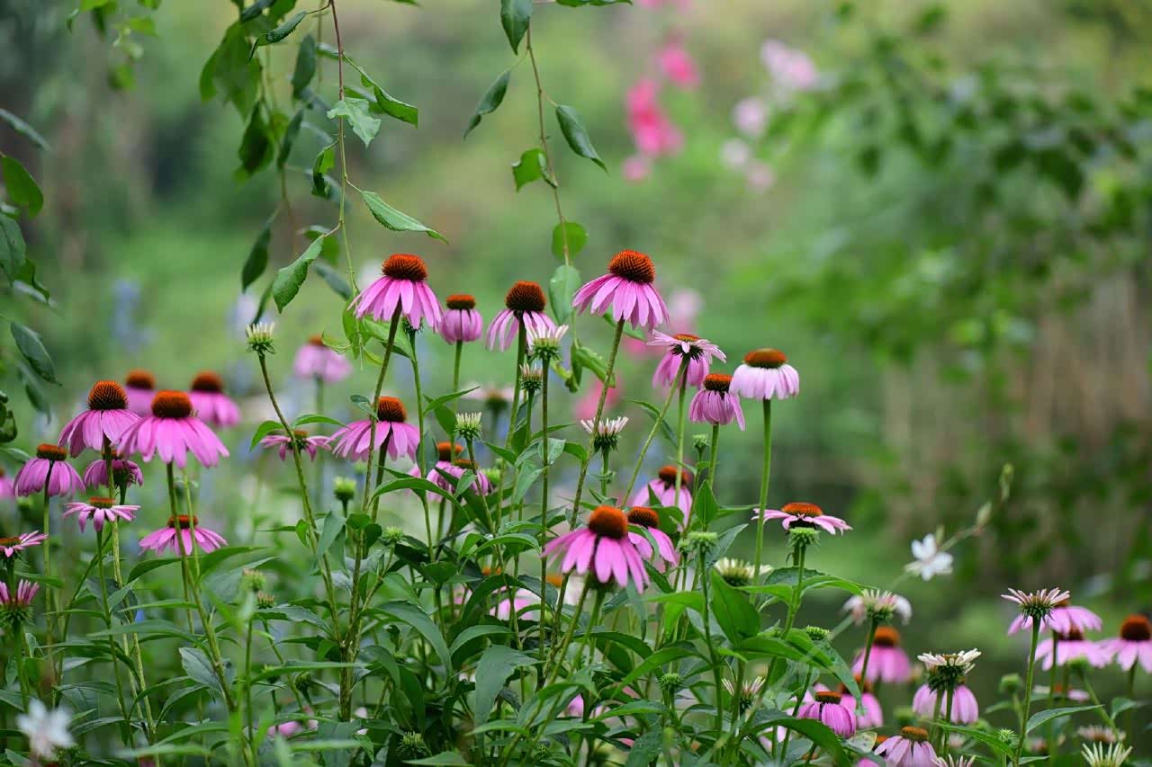 江南已进入黄梅季大概隔着屏幕都能感受到空气的黏湿闷热吧