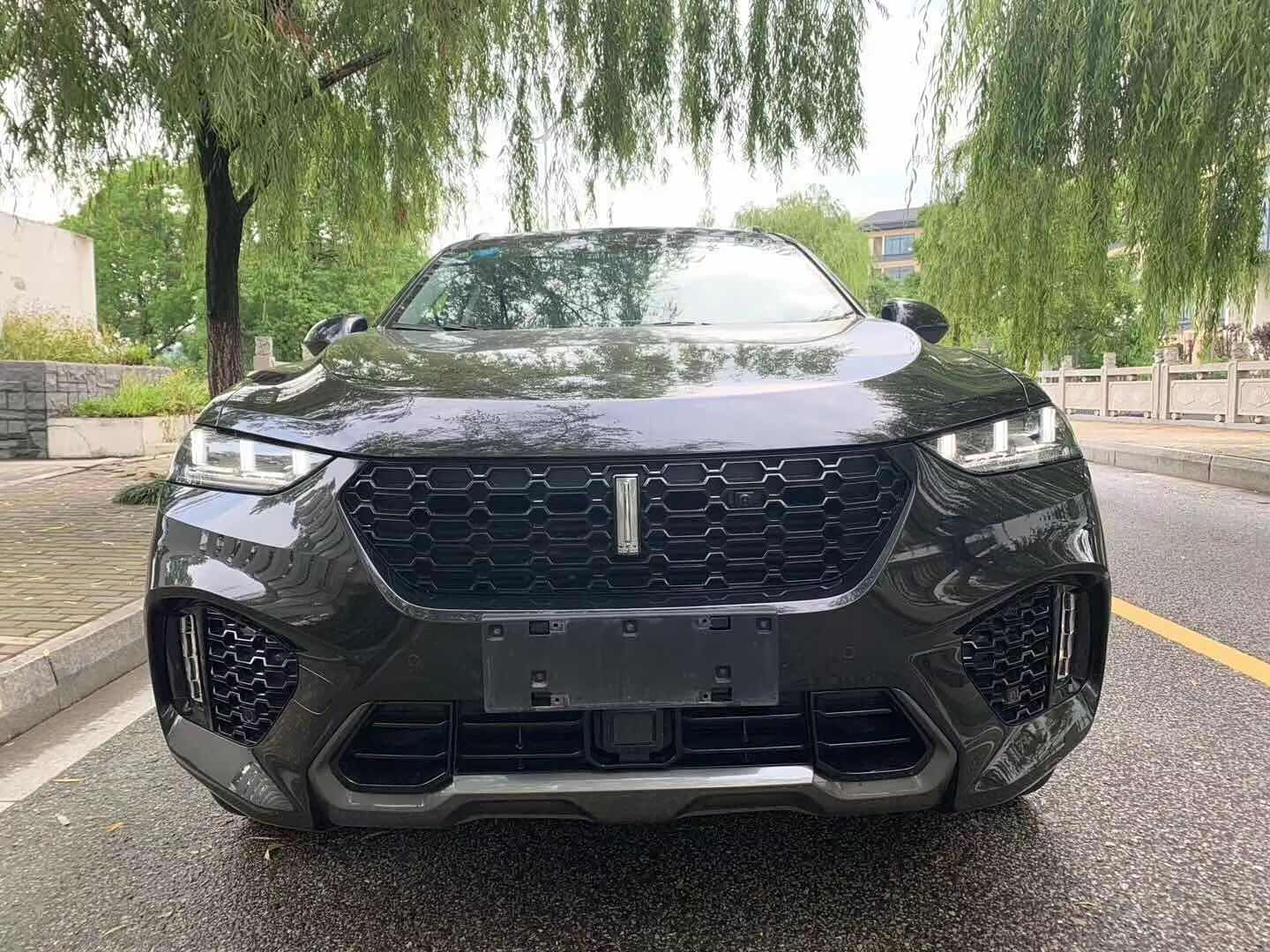 外观大气上档次的weyvv7