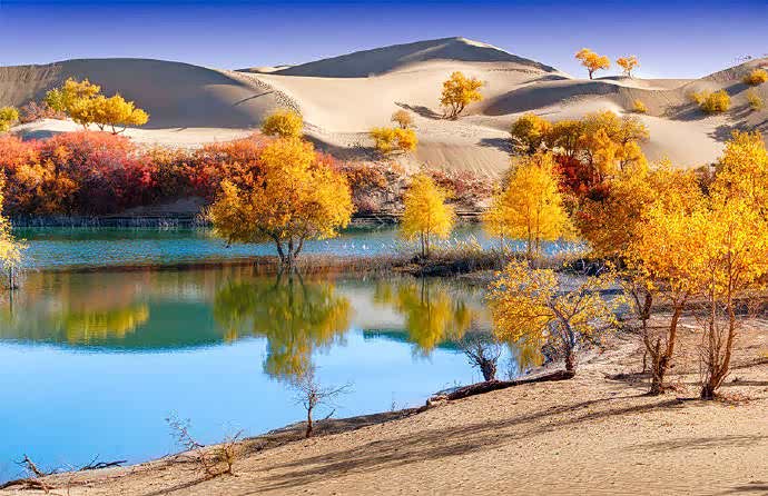 风成了春的信使和先行官不失时机地传播着春的宣言