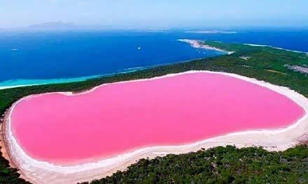 澳大利亚赫利尔湖充满少女心的梦幻粉色湖泊想去吗