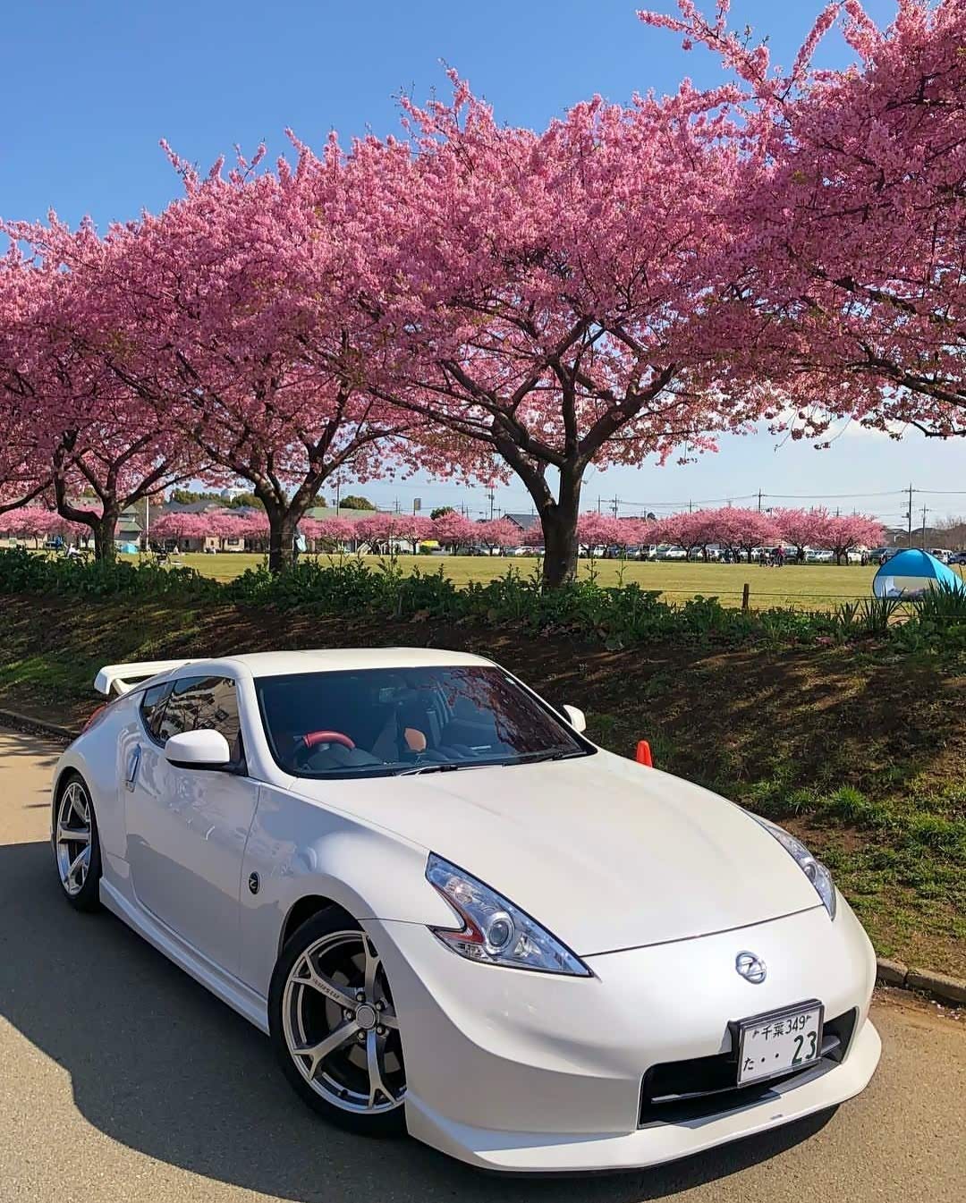 日产小跑370z,看起来不错.