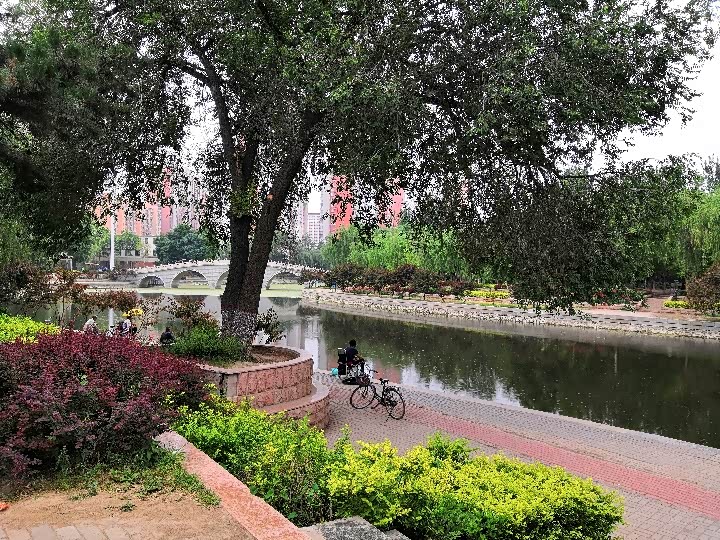 周末游安国植物园