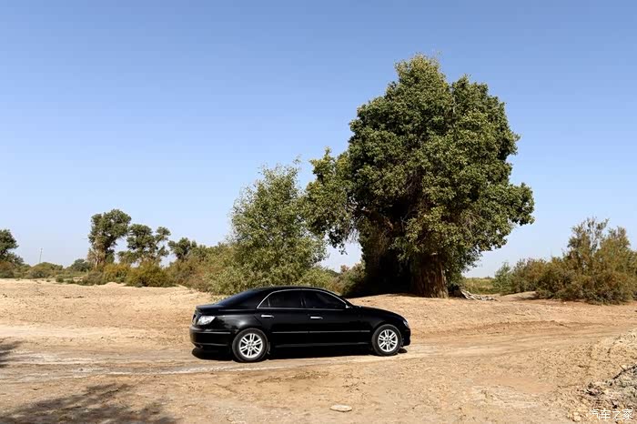 【人·车·生活】一对夫妻一辆轿车,12天10000公里自驾游新疆