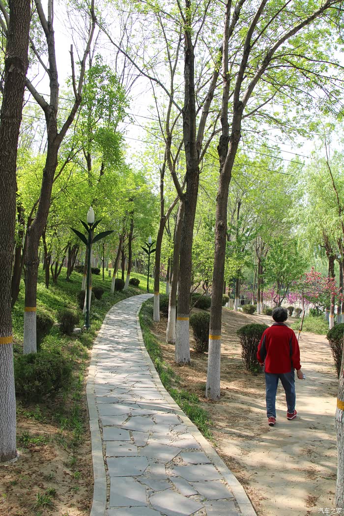 【图】潍坊虞河公园美景_山东论坛_汽车之家论坛