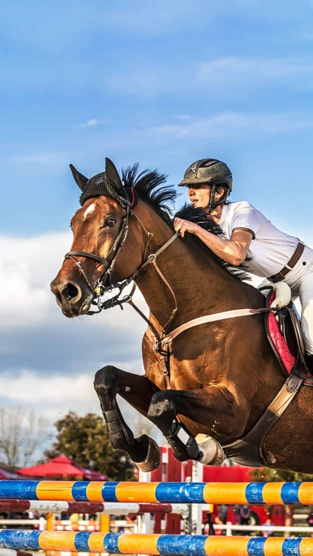 就要提车了兴奋