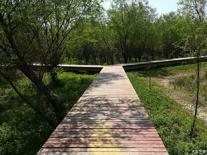 黄天荡湿地公园图片图片