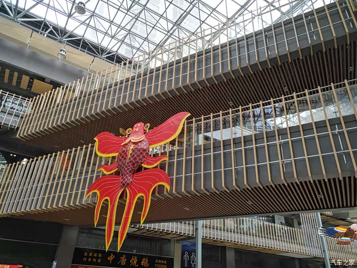 爱车作业大征集与哈六打卡新开发的网红广场