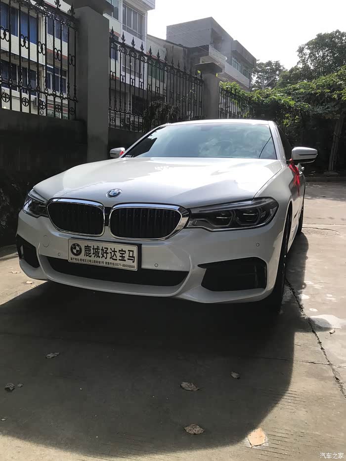 宝马2020款5系530li领先运动矿石白