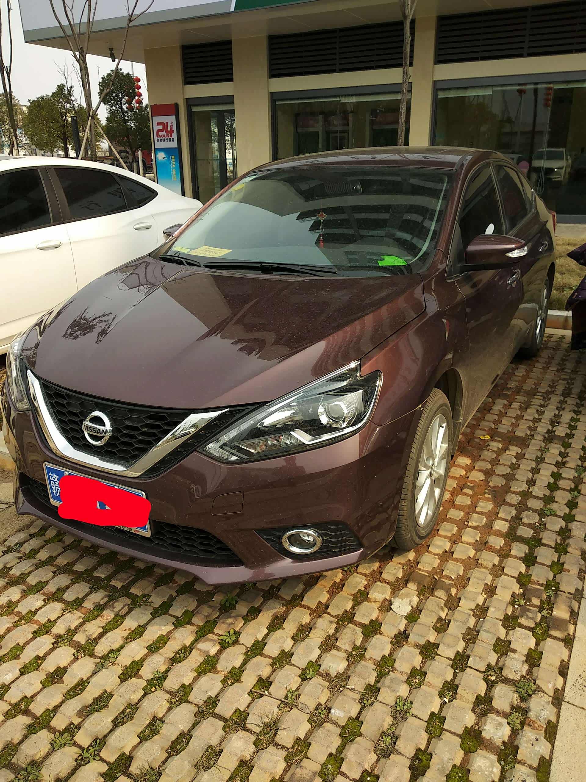 轩逸摩卡棕图片