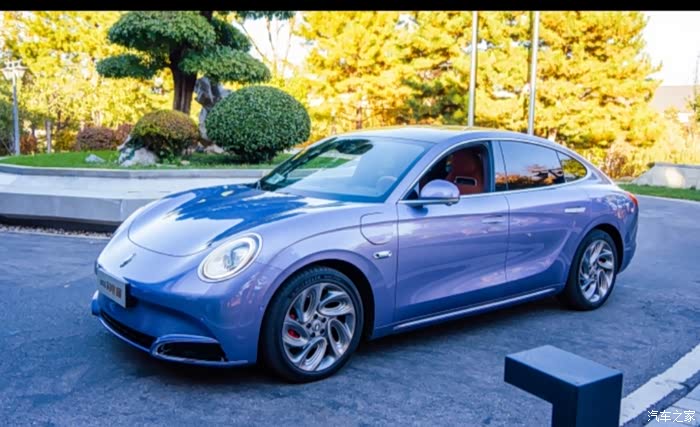 闪电猫的感受喜欢的多多关注