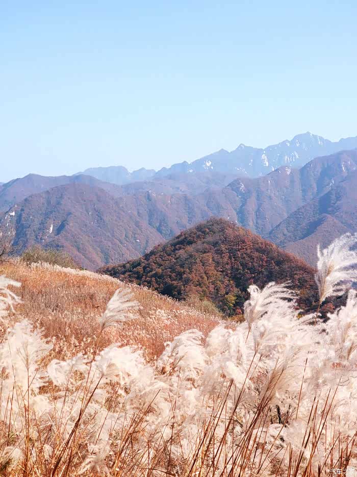 石砭峪天池寺芦苇荡半日游